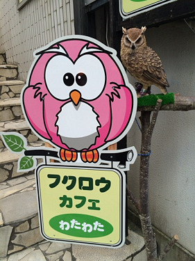 <追記>フクロウカフェわたわた-02 <追記>フクロウカフェわたわた-02