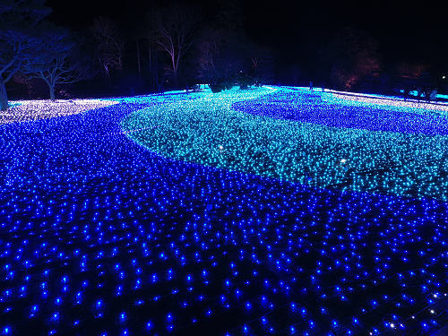 奈良の冬の灯りイベント『しあわせ回廊 なら瑠璃絵 2015』