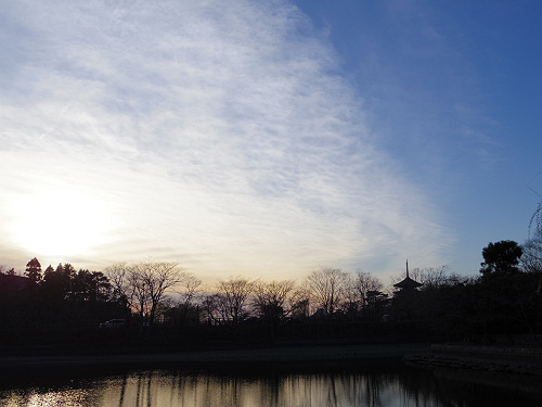 荒池の夕景＠奈良公園-16