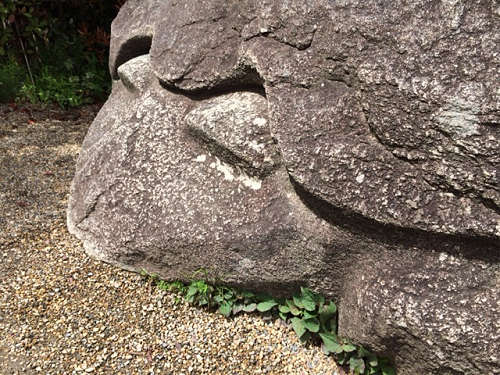 飛鳥の石造物「亀石」-04