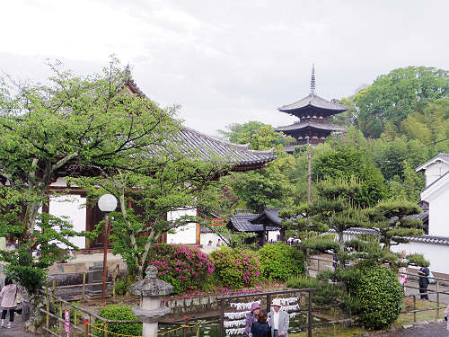 2015年 聖衆来迎練供養会式＠當麻寺（葛城市）-28