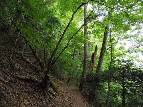 かりがね橋@天川村-04 かりがね橋@天川村-04