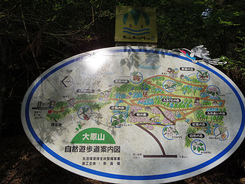 かりがね橋@天川村-17 かりがね橋@天川村-17