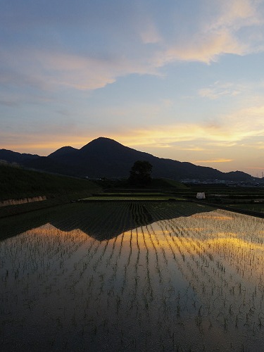 夕暮れの二上山＠香芝市-11