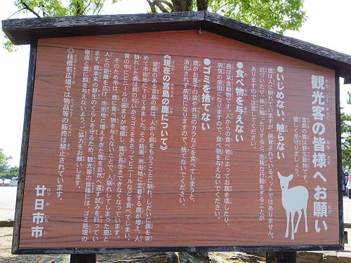 宮島の鹿＠広島県廿日市市-07