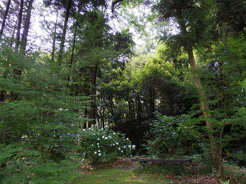 日本武尊白鳥陵＠御所市-08