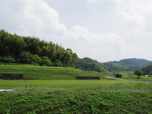 日本武尊白鳥陵＠御所市-11
