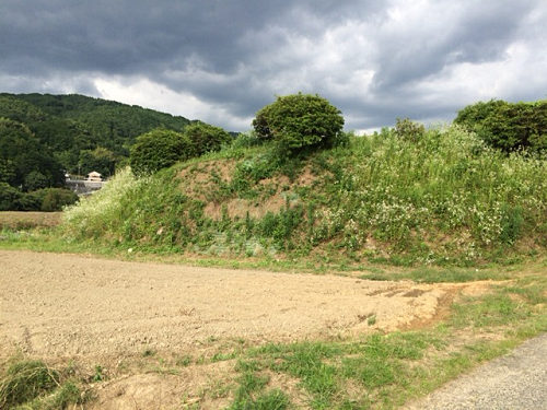 『都塚古墳』の今の姿 @明日香村-01 『都塚古墳』の今の姿 @明日香村-01