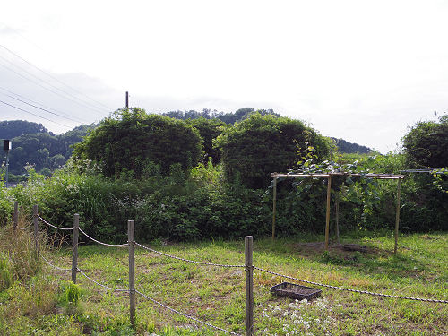 『都塚古墳』の今の姿 @明日香村-06 『都塚古墳』の今の姿 @明日香村-06