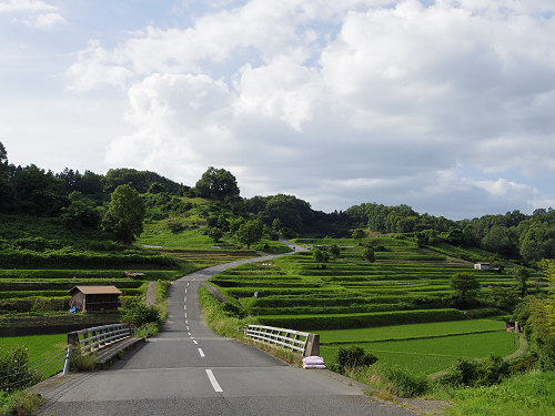 初夏の棚田 ＠明日香村-06