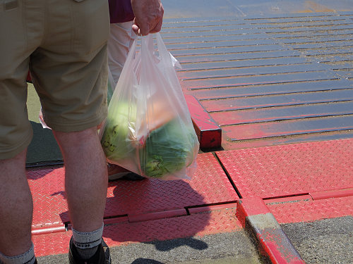 『うさぎ島』（大久野島）の遊び方＠広島県-04