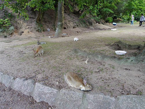 『うさぎ島』（大久野島）の遊び方＠広島県-06