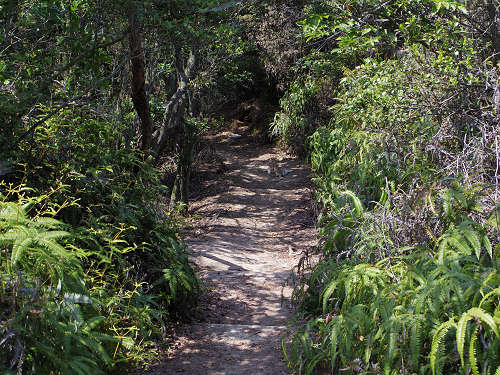 『うさぎ島』（大久野島）の遊び方＠広島県-17