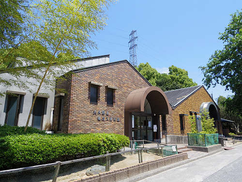 『うさぎ島』（大久野島）の遊び方＠広島県-21