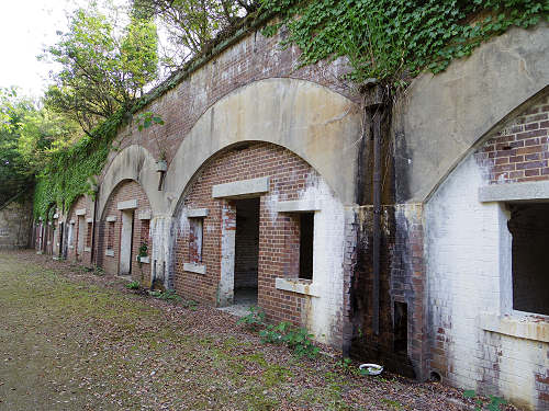 『うさぎ島』（大久野島）の遊び方＠広島県-27