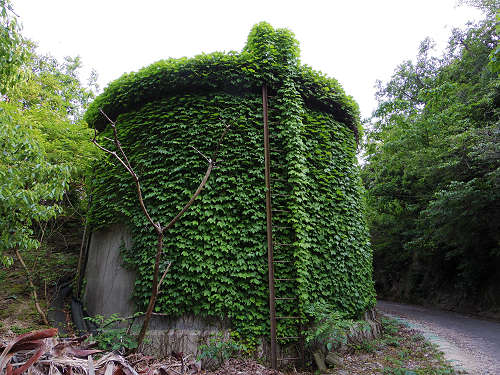 『うさぎ島』（大久野島）の遊び方＠広島県-30