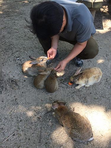 うさぎ島のウサギ写真＠大久野島-08