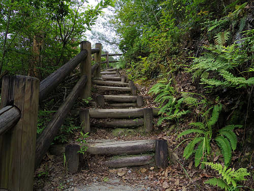 黒滝・森物語村＠黒滝村-14
