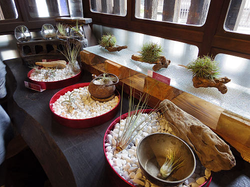 cafeことだま（移転後）＠明日香村岡-22