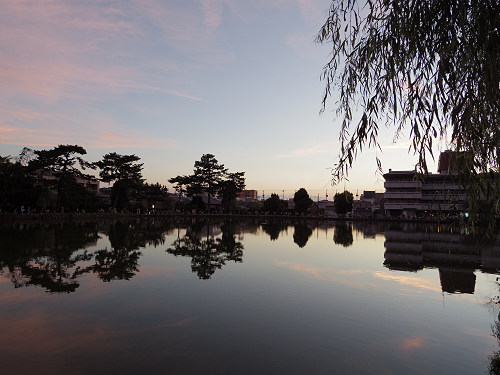 2015なら燈花会＠奈良市-01