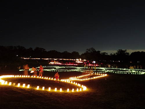 2015なら燈花会＠奈良市-28