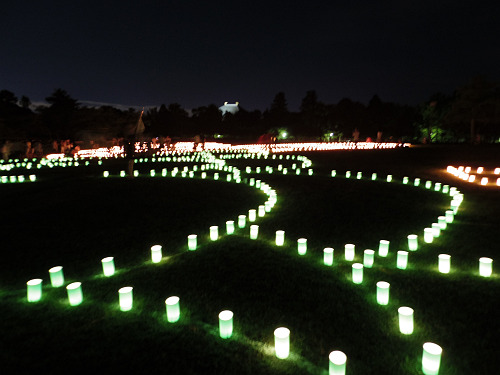 2015なら燈花会＠奈良市-29