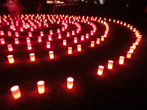 2015なら燈花会＠奈良市-30