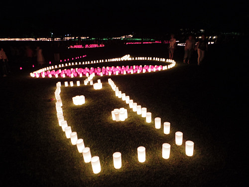 2015なら燈花会＠奈良市-31