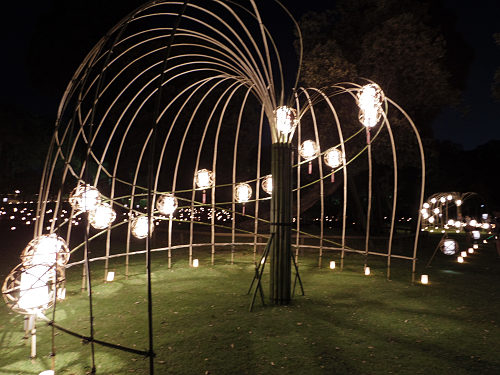 2015なら燈花会＠奈良市-32