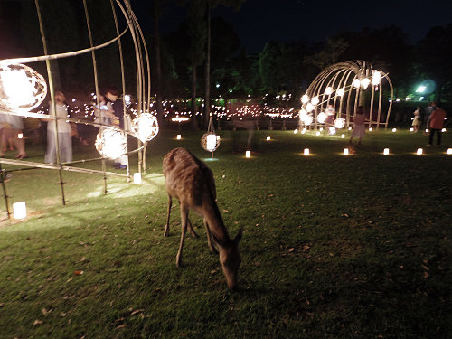 2015なら燈花会＠奈良市-33