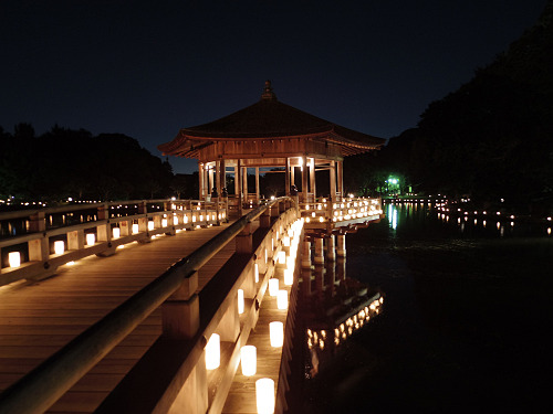 2015なら燈花会＠奈良市-37