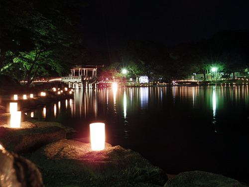 2015なら燈花会＠奈良市-38