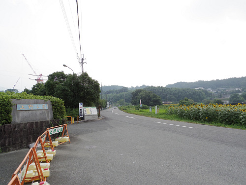 上野町ひまわり園＠五條市-01