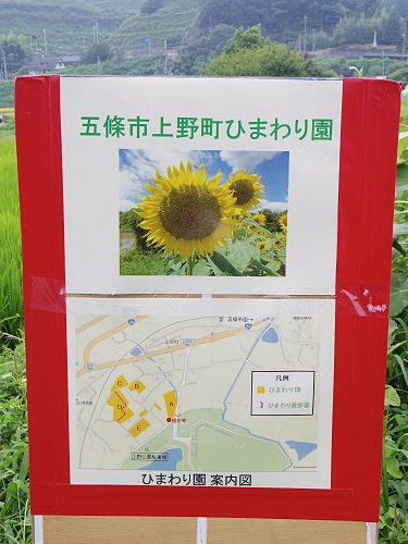 上野町ひまわり園＠五條市-03