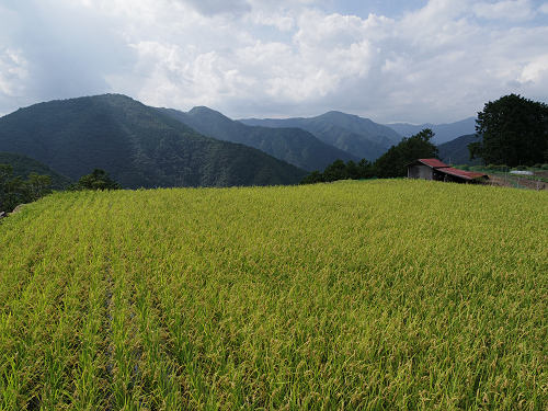 天空の郷『果無集落』＠十津川村-19