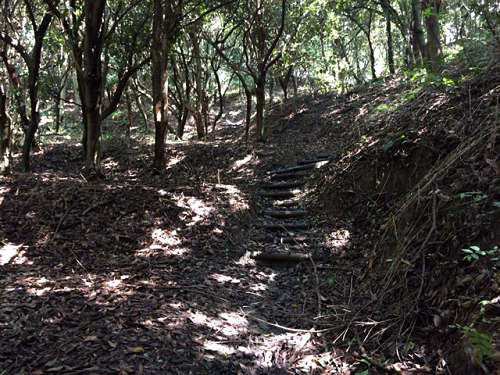 スロージョグで大和三山めぐり-04 スロージョグで大和三山めぐり-04