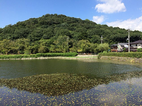 スロージョグで大和三山めぐり-12 スロージョグで大和三山めぐり-12