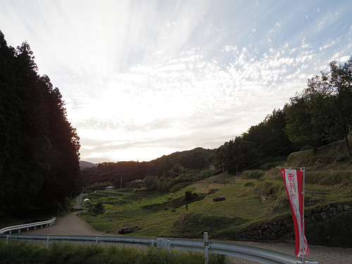 佛隆寺の彼岸花（2015年秋）-01