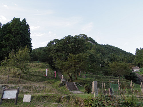 佛隆寺の彼岸花（2015年秋）-02