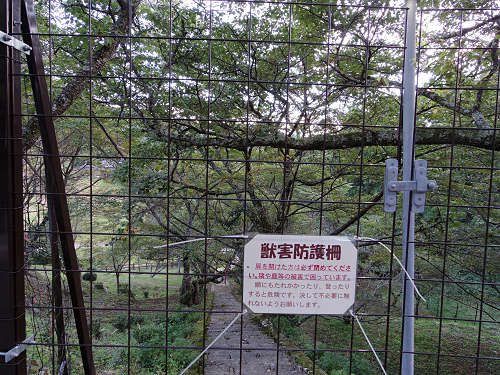 佛隆寺の彼岸花（2015年秋）-09