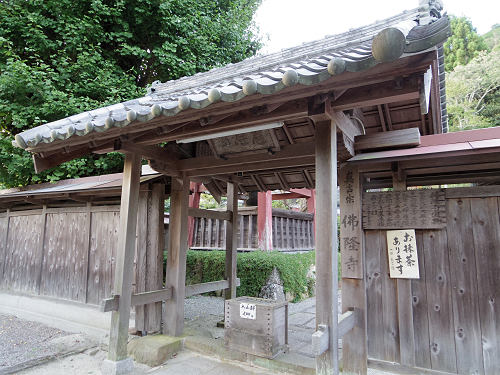 佛隆寺の彼岸花（2015年秋）-10