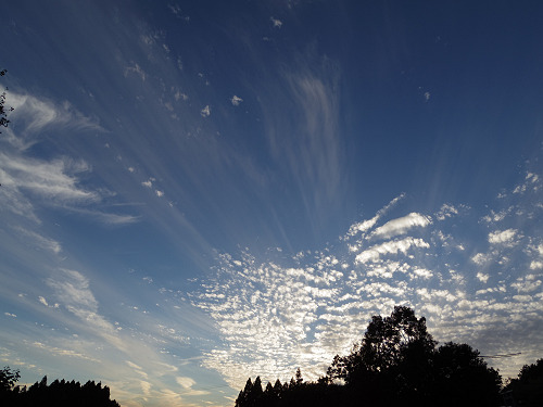 佛隆寺の彼岸花（2015年秋）-11