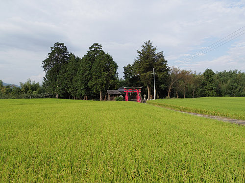 若宮火雷神社＠五條市-22