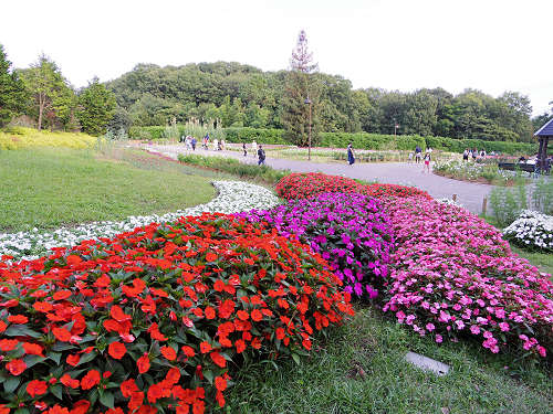 馬見フラワーフェスタ＠馬見丘陵公園-19