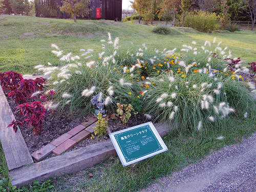 馬見フラワーフェスタ＠馬見丘陵公園-23