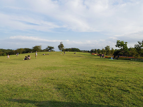 馬見フラワーフェスタ＠馬見丘陵公園-24