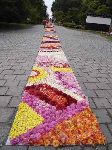 馬見フラワーフェスタ＠馬見丘陵公園-26