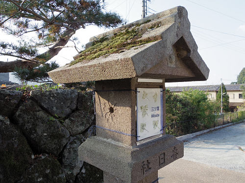 宇陀松山エリア ＠はならぁと2015-35