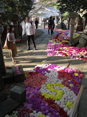 宇陀松山エリア ＠はならぁと2015-36