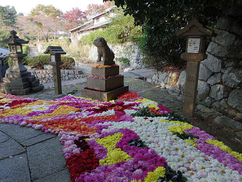 宇陀松山エリア ＠はならぁと2015-37